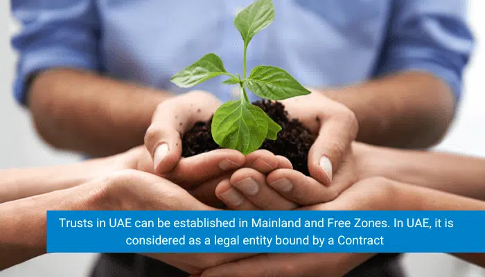 trust and foundation in uae