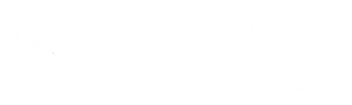 Aurion Logo Horizontal White
