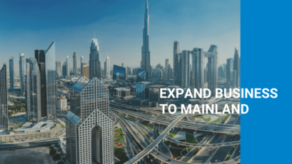 Dubai Free Zone business