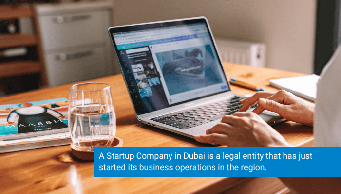 Start up Company in Dubai